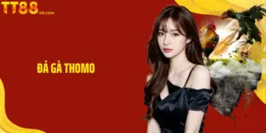 Đá Gà Thomo - Trải Nghiệm Đá Gà Kịch Tính Ngay Tại TT88
