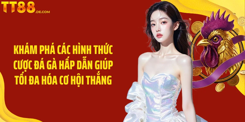 Khám phá các hình thức cược đá gà hấp dẫn giúp tối đa hóa cơ hội thắng