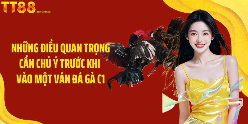 Những điều quan trọng cần chú ý trước khi vào một ván đá gà C1